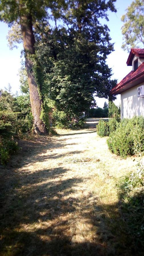 Вілла Twoj Azyl Швіднік Екстер'єр фото